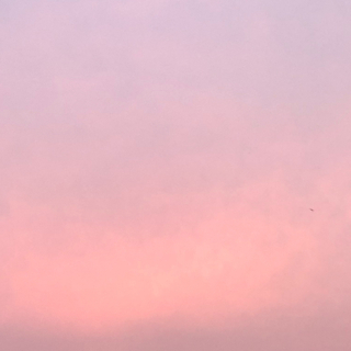 もも