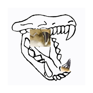 AA1