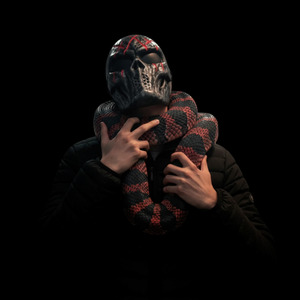 Какие планы?