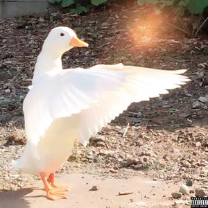 I Need Some Water (Interlude)