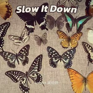 Slow It Down freestyle