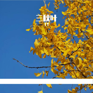 等一个晴天 把回忆晒一遍