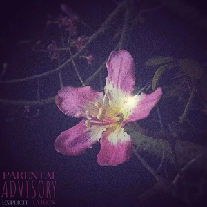 葳蕤（Prod.Gr33nart Beats)