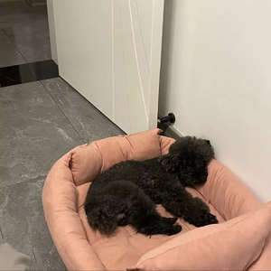 刘大壮-我很好.mp3（困哭了 remix）