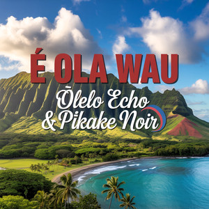 Hoʻokahi Puʻuwai