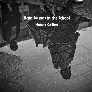 교정에서 담은 빗소리