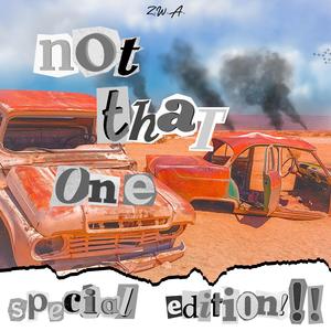 Not That One (Special Edition)
