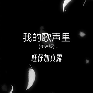 我的歌声里 (变速版)