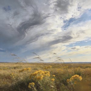 你像季风经过我的旷野