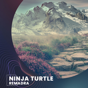 Ninja Turtle