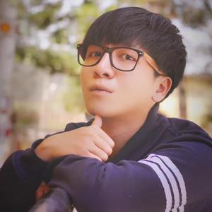 凤凰花开的路口