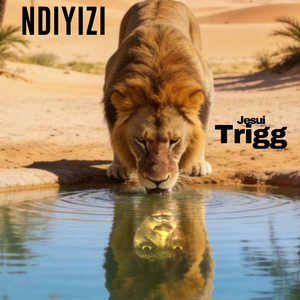 Ndiyizi