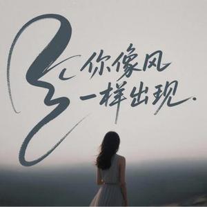 你像风一样出现(Remix)
