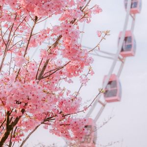 我的回忆不是我的