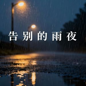 告别的雨夜