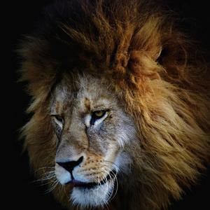 Slow burn my Feelings