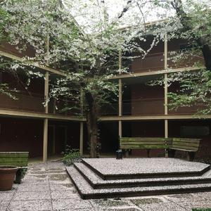 PRETTY COOL GUYS (feat. Conscious Astro & C. Durango)