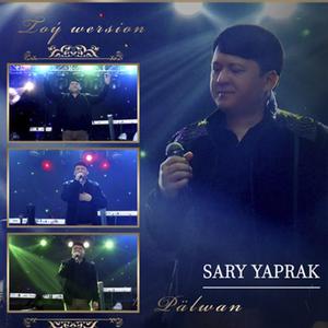 Sary Yaprak (feat. Pälwan Halmyradow) (Live Performance)