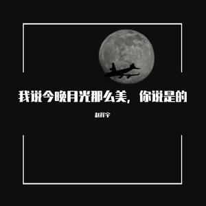 我说今晚月光那么美，你说是的