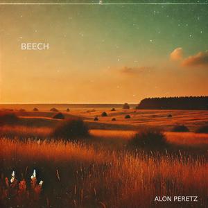 Beech