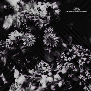 First Love (Ted Amber Remix)