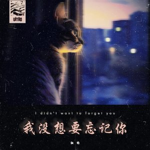 我没想过忘记你