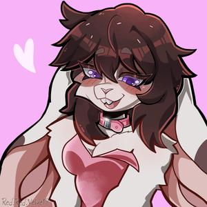 きみにむちゅう (feat. Coneja Blanca) (midnight version)