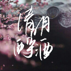 不见白头（Cover 叶里）