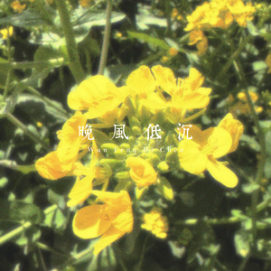 夜色过载
