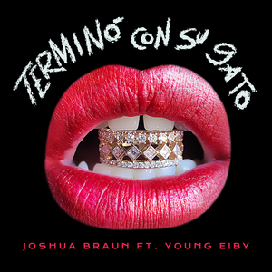 Terminó Con Su Gato