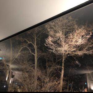 はじめて好きになった人