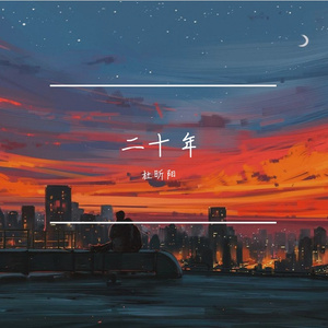 二十年