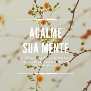 Acalme sua Mente