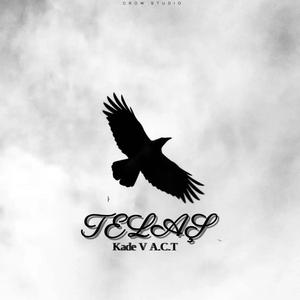 Telaş (feat. A.C.T)