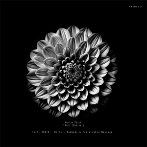 9 Mois (Rambadu remix)