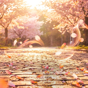 風薫る石畳と桜