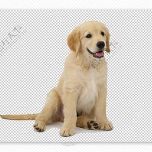 莫斯科没有眼泪