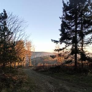 Beskydy