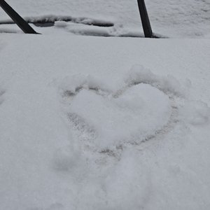 雪花落，意境满天