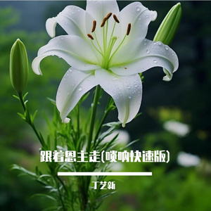 跟着恩主走(唢呐快速版)