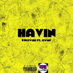 Havin (feat. Gwop)