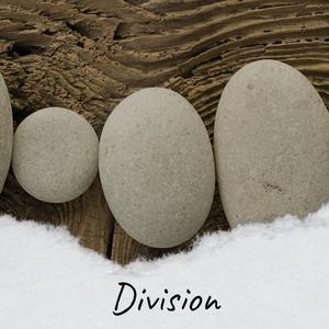Division