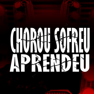 CHOROU SOFREU APRENDEU