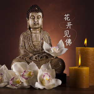 花开见佛（养心曲）