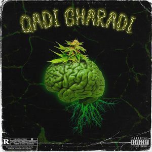 Qadi Gharadi (Radio Edit)