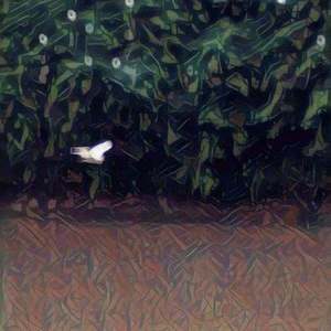 窦唯-明天更漫长（造音小宁 Remix）