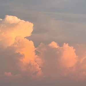 地球上再没有第二个我