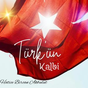 Türkün Kalbi