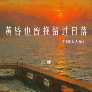 黄昏也曾挽留过日落 (DJ豪大大版)