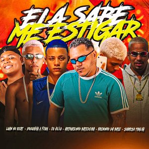 Ela Sabe Me Estigar (feat. Sorriso Tralha, Luan no Beat & EO Vilão)